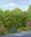 Nature's Dream